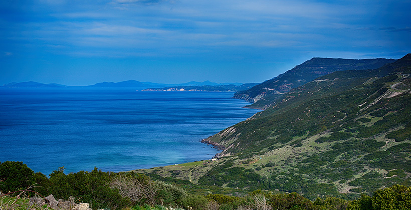 Macchia mediterranea in Sardegna